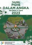 Kabupaten Pidie Dalam Angka 2023